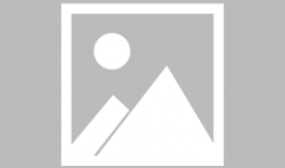 花落宫廷电视剧,爱恨情仇的宫廷传奇